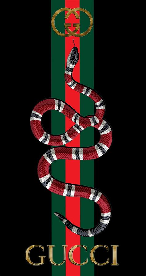 gucci snakes.